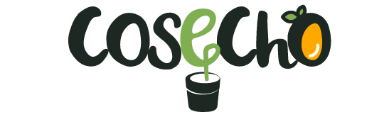 cosecho.co